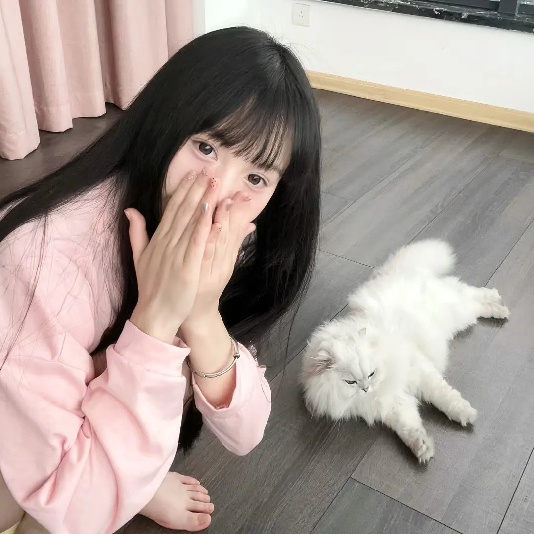 冰天侠女
